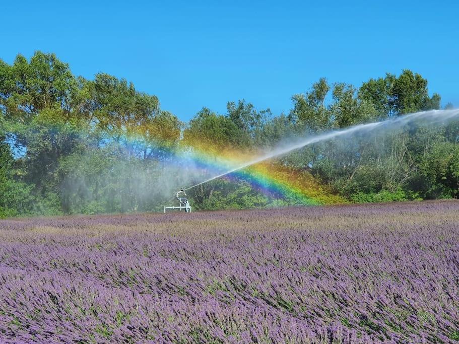 彭特·圣特斯普利特L'Ardeche En Provence Avec Jardin Ombrage别墅 外观 照片